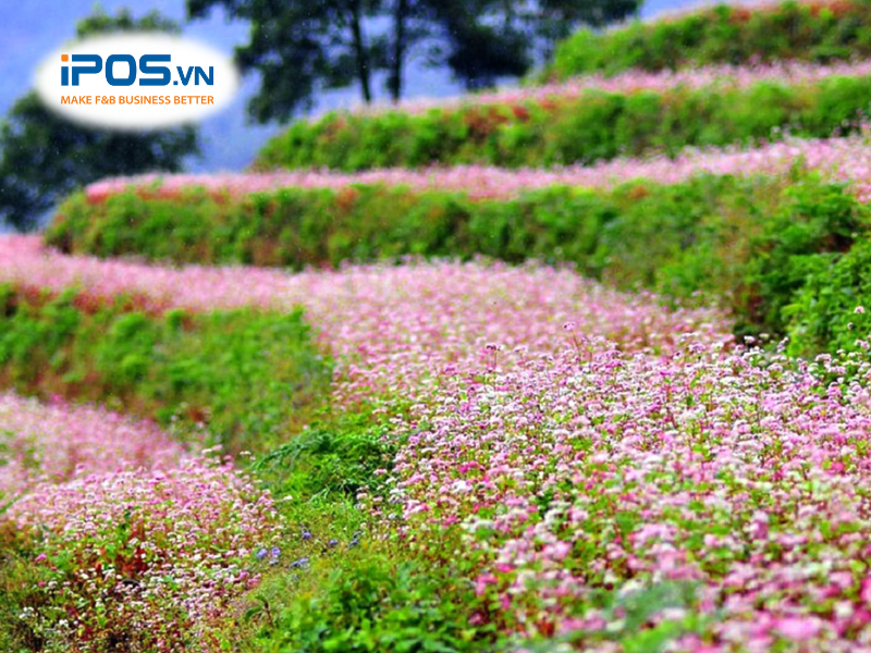 lễ hội ẩm thực