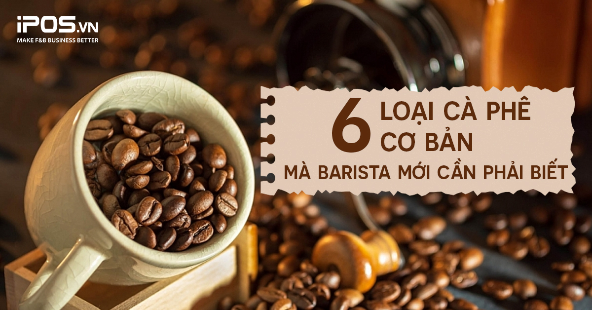 6 loại thức uống cà phê cơ bản mà Barista mới cần phải biết