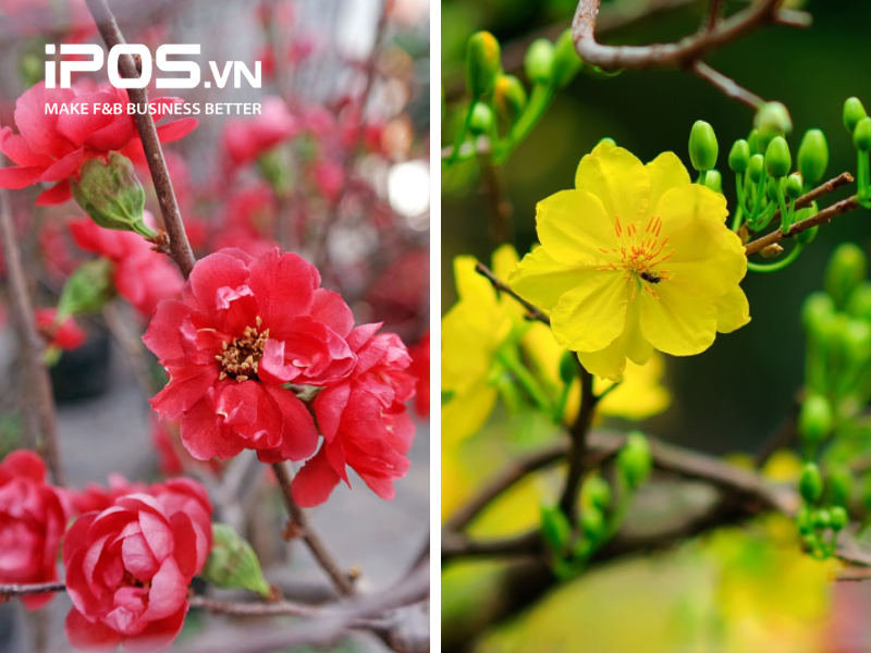 ý tưởng trang trí quán cafe ngày Tết