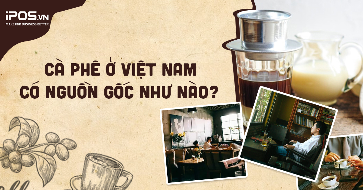 [Có thể bạn chưa biết] Cà phê ở Việt Nam có nguồn gốc như nào?