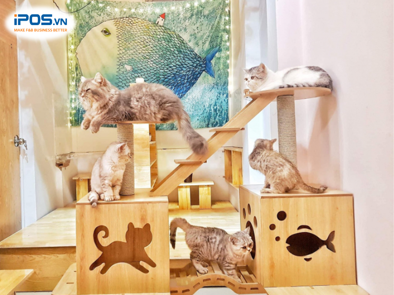 top-5-quan-cafe-thu-cung3