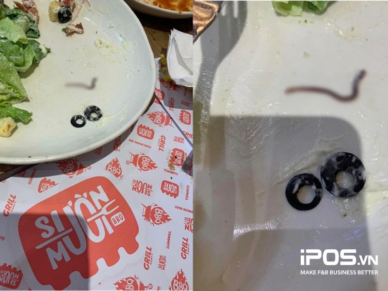 Sinh vật lạ trên đĩa Salad Sườn Mười 