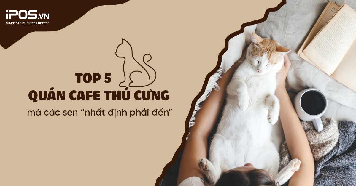 Top 5 quán cafe thú cưng mà các sen “nhất định phải đến”