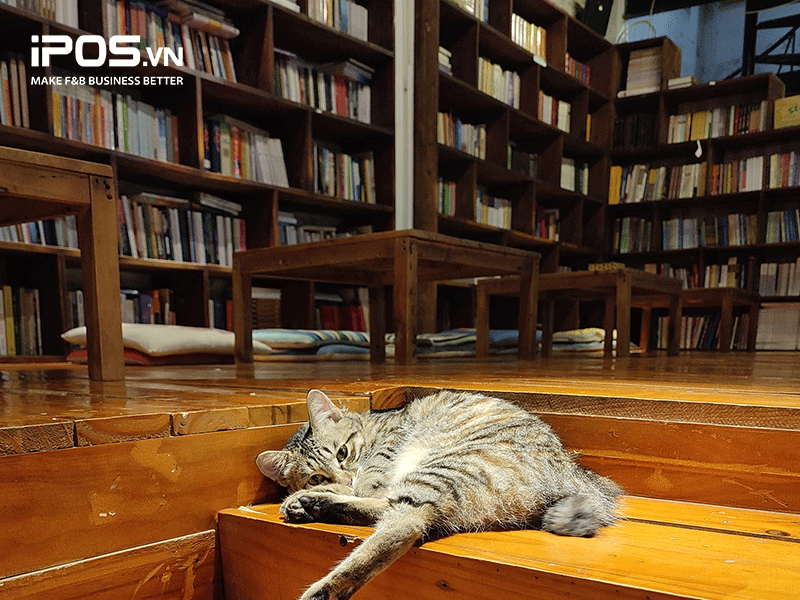 cafe ngủ trưa cafe ngủ trưa