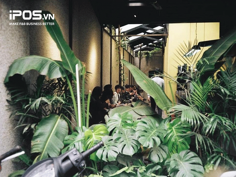 cafe ngủ trưa cafe ngủ trưa