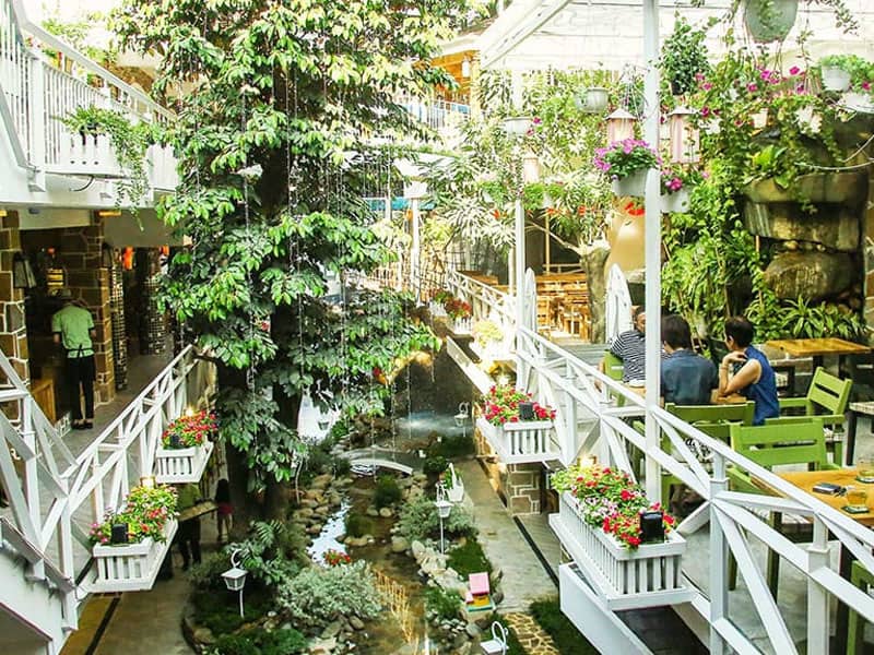 Thiết kế quán cafe sân vườn